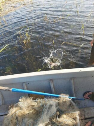 Акция на "Рибарство и контрол-Добрич"