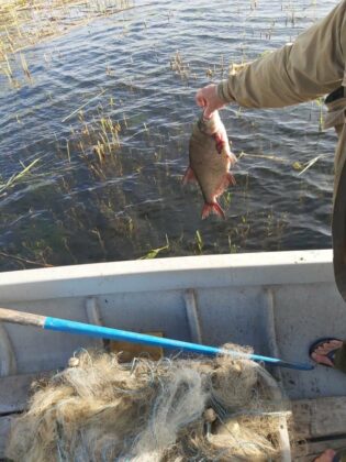 Акция на "Рибарство и контрол-Добрич"