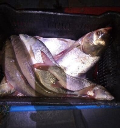 Акция на "Рибарство и контрол-Централен Дунав"