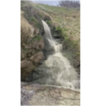 Фекални води