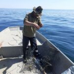 Акции на ИАРА