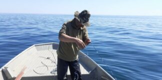 Акции на ИАРА