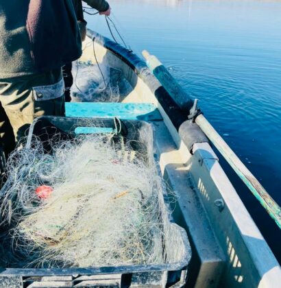 Акции на ИАРА