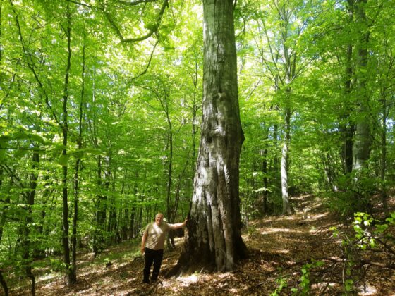 Инспекция в Годеч и Свидня