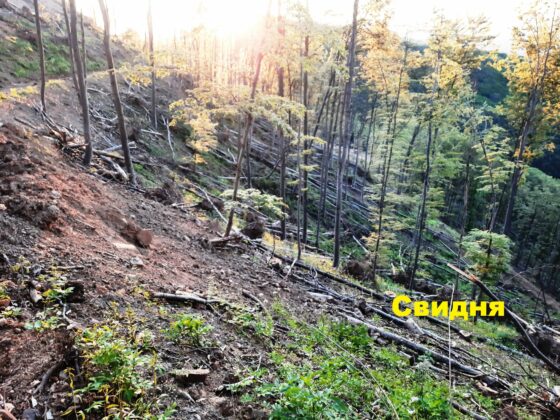 Инспекция в Годеч и Свидня