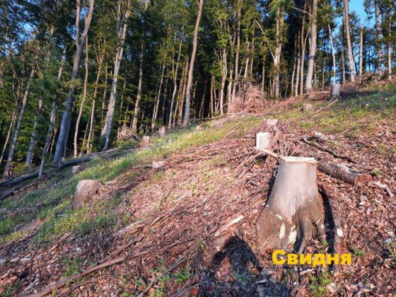 Инспекция в Годеч и Свидня