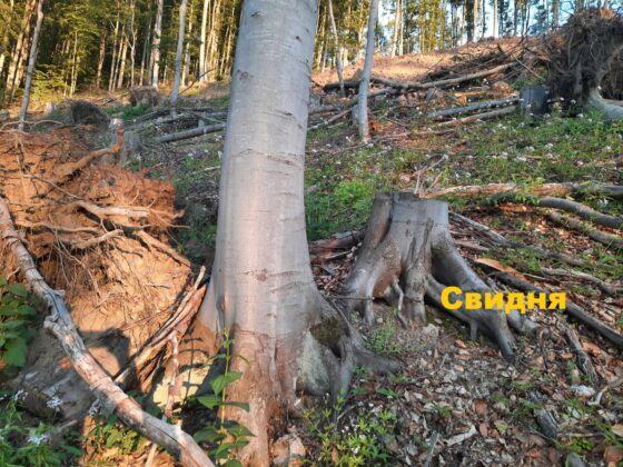 Инспекция в Годеч и Свидня