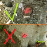 Инспекция в Годеч и Свидня