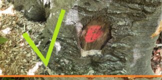 Инспекция в Годеч и Свидня