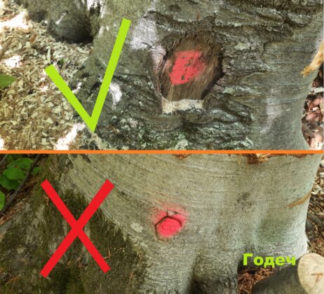 Инспекция в Годеч и Свидня