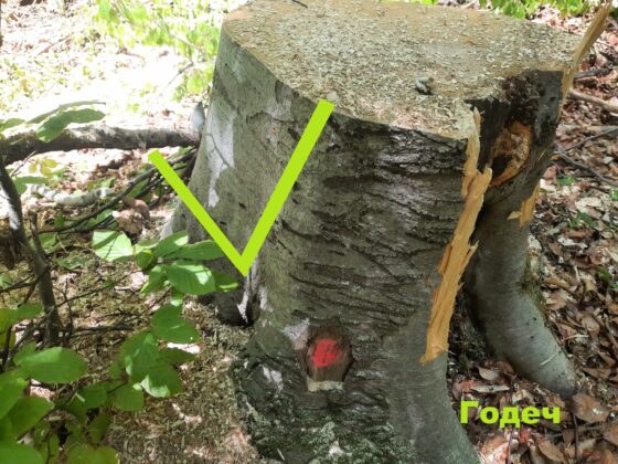 Инспекция в Годеч и Свидня