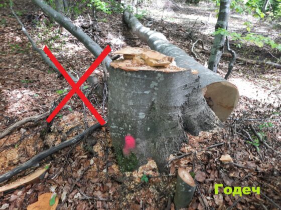 Инспекция в Годеч и Свидня