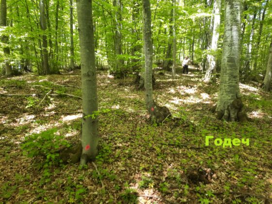 Инспекция в Годеч и Свидня