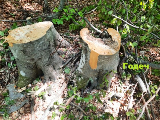 Инспекция в Годеч и Свидня