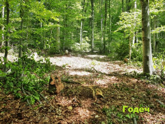 Инспекция в Годеч и Свидня