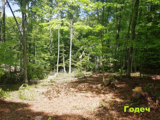 Инспекция в Годеч и Свидня