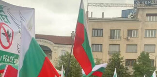 Ивелин Михайлов