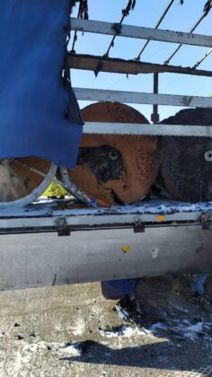 Изгорял тир