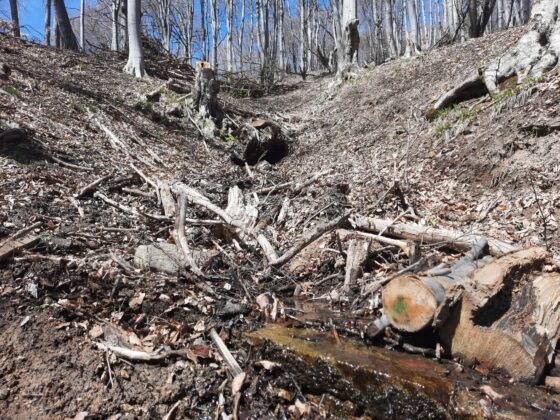 Изворче край хижа "Братан"