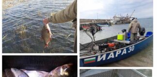 Колаж от успешни акции