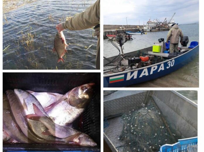 Колаж от успешни акции