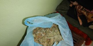 Домашна оранжерия за канабис