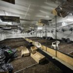 Ултрамодерна наркооранжерия