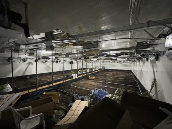 Ултрамодерна наркооранжерия