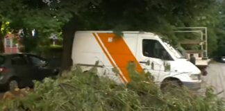 Паднало дърво в Пловдив