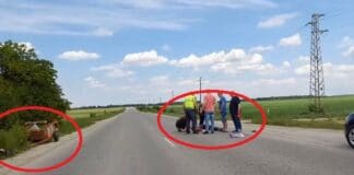 Пътно произшествие