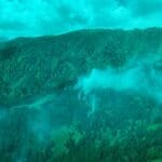 Пожар в Рила