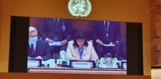 Проф. Асена Сербезова по време на сесията