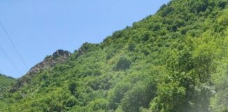 Тапа заради катастрофата