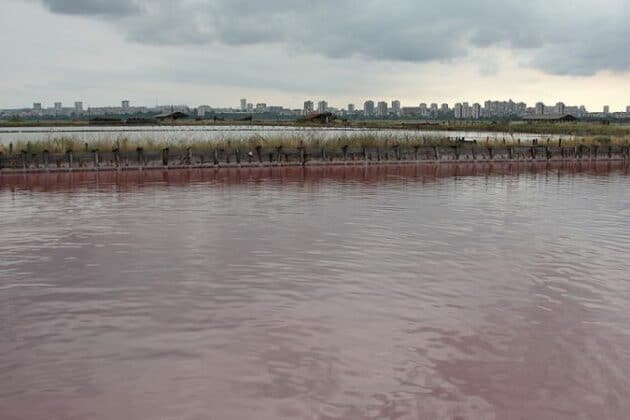 Басейни с луга и лечебна кал