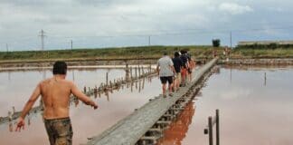 Басейни с луга и лечебна кал