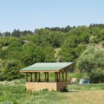 "Безденски извори"