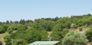 "Безденски извори"