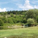 "Безденски извори"