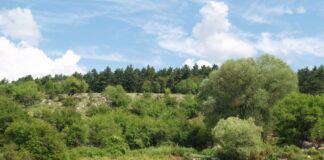 "Безденски извори"