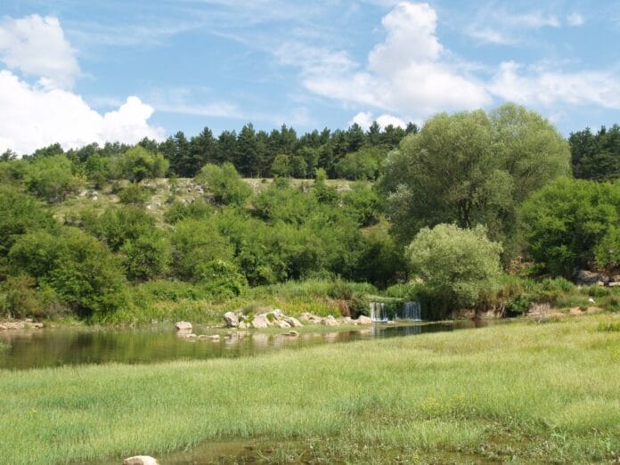 "Безденски извори"