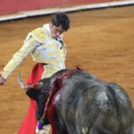 Бикоборство