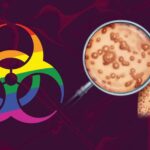 Маймунска шарка