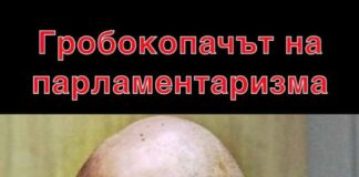 Гробокопачът