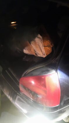 Акции на ИАРА