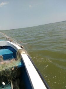 Акции на ИАРА