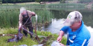 Акции на ИАРА