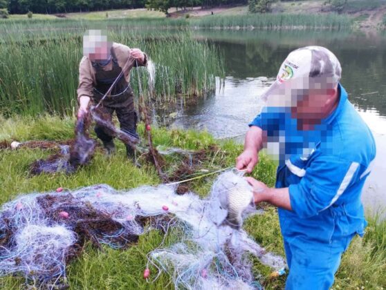 Акции на ИАРА