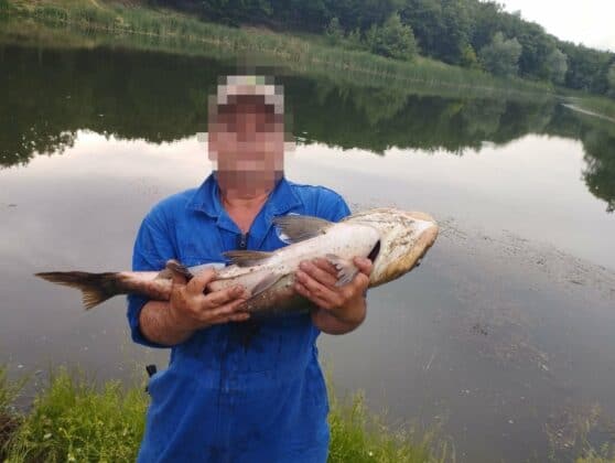 Акции на ИАРА