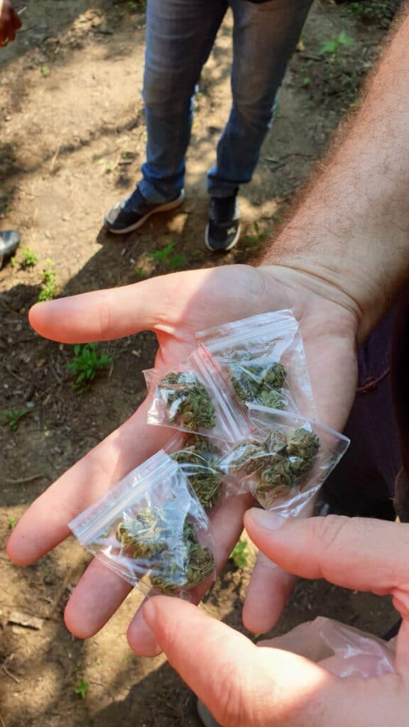 Наркотици в Лом