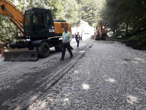 Участък Бързия-Гинци